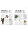 Copertă produs Grow Houseplants. Essential know-how and expert advice for gardening success - thumb 5