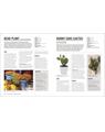 Copertă produs Grow Houseplants. Essential know-how and expert advice for gardening success - thumb 6