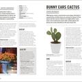 Copertă produs Grow Houseplants. Essential know-how and expert advice for gardening success - gallery small 