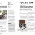 Copertă produs Grow Houseplants. Essential know-how and expert advice for gardening success - gallery small 