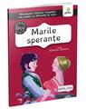Copertă produs Marile speranțe - thumb 1