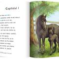 Copertă produs Black Beauty - gallery small 