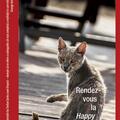Copertă produs Rendez-vous la Happy Hour - gallery small 