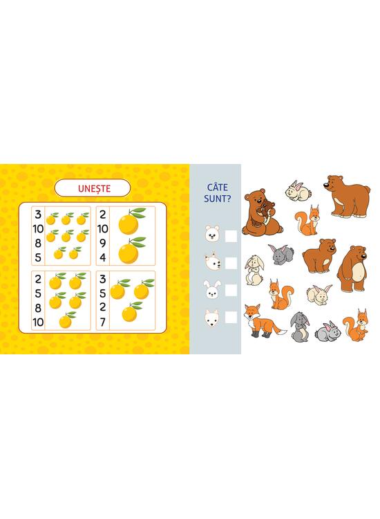Copertă produs Activități matematice - gallery big 5