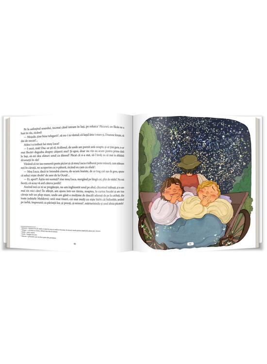 Copertă produs Amintiri din copilărie - gallery big 3
