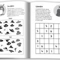 Copertă produs Jocuri de inteligență - gallery small 