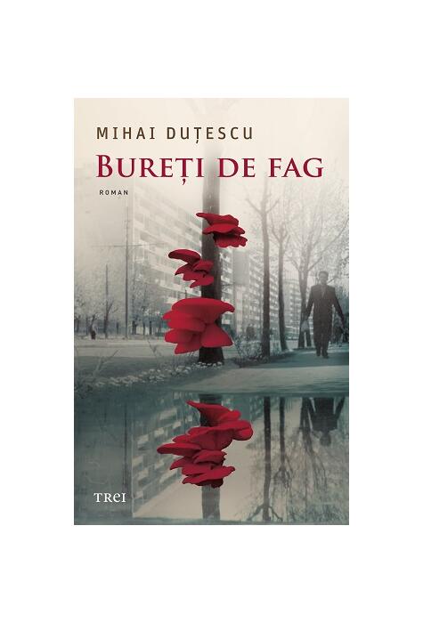 Copertă produs Bureți de fag