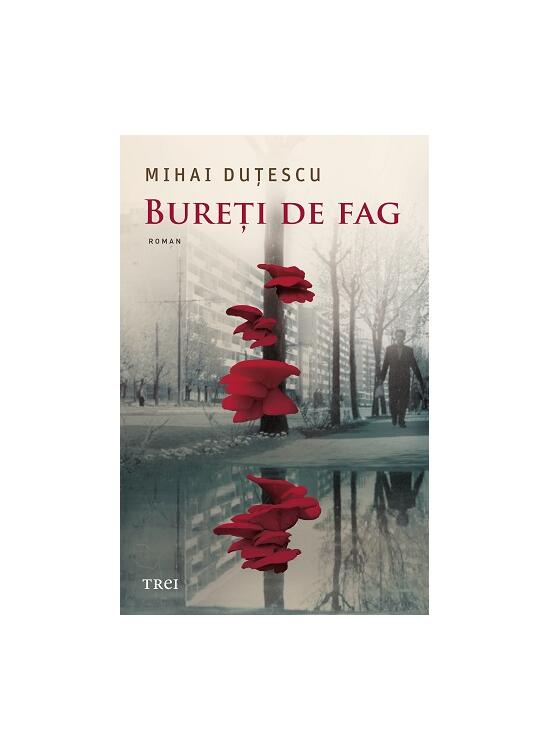 Copertă produs Bureți de fag - gallery big 1