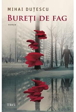 Copertă produs Bureți de fag