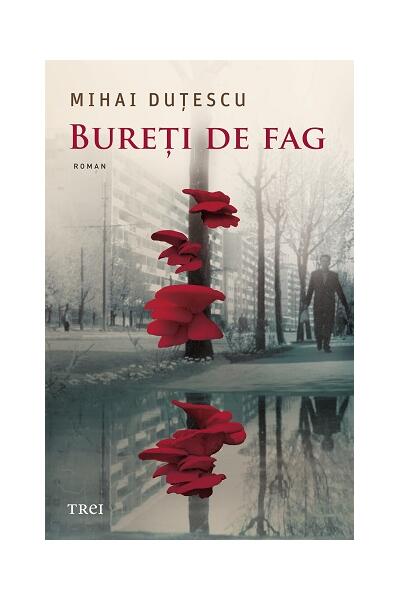 Bureți de fag