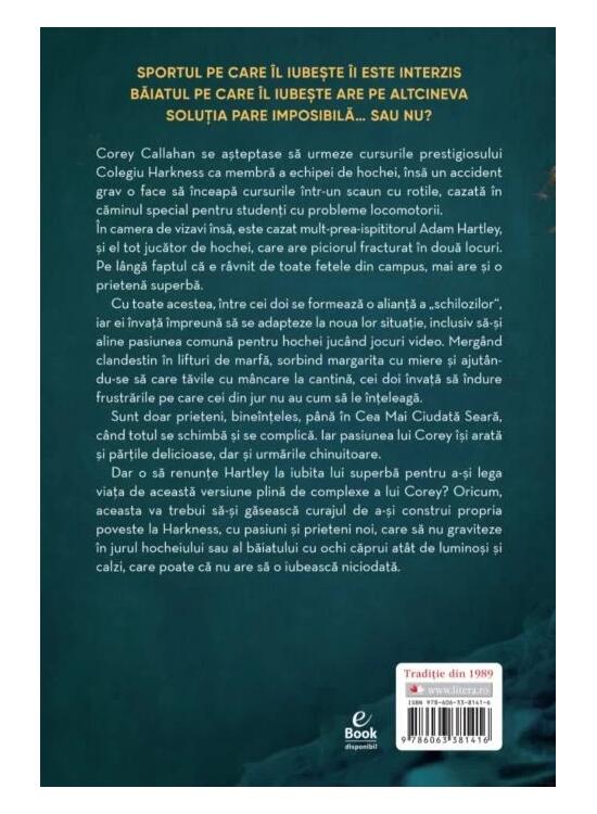 Copertă produs Anul în care am căzut - gallery big 2