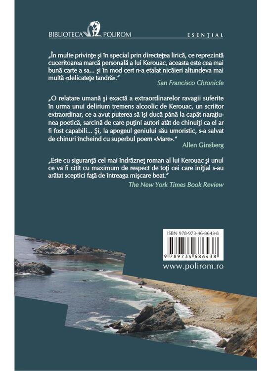 Copertă produs Big Sur - gallery big 2