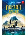 Copertă produs Orfanii apelor - thumb 1