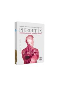 Copertă produs Pierdut în Amsterdan, orașul toleranței depline