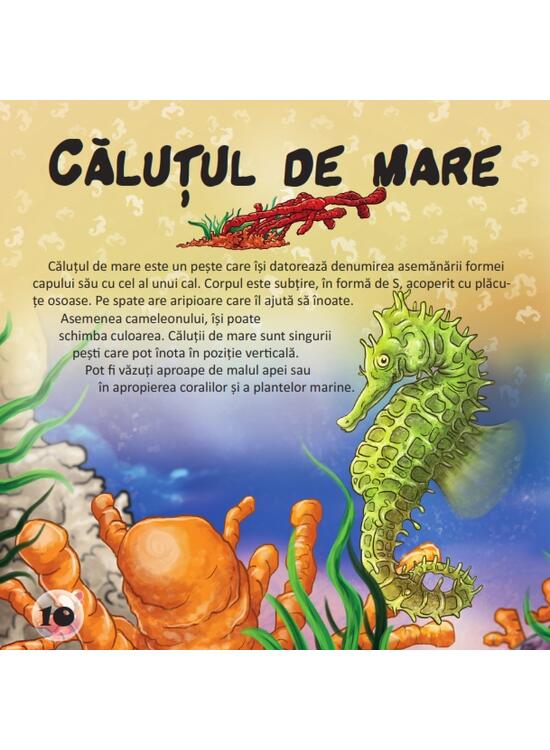 Copertă produs Prima mea enciclopedie. Animale marine - gallery big 3