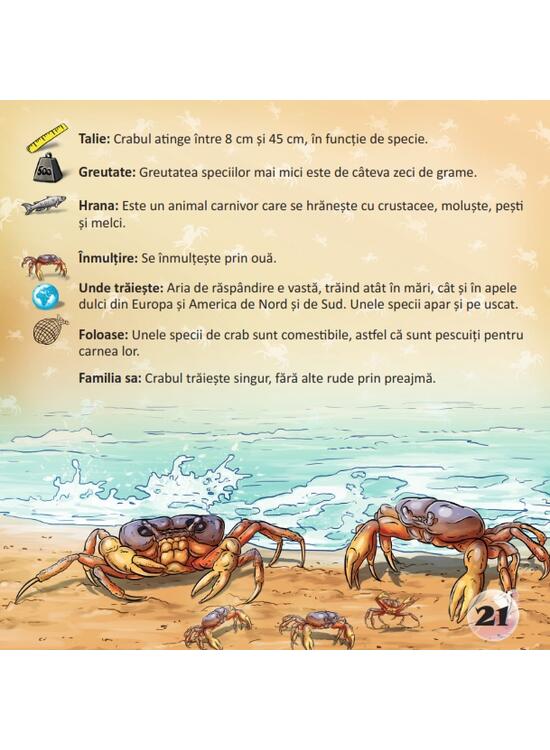 Copertă produs Prima mea enciclopedie. Animale marine - gallery big 4