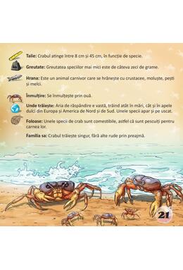 Copertă produs Prima mea enciclopedie. Animale marine
