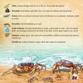 Copertă produs Prima mea enciclopedie. Animale marine - gallery small 