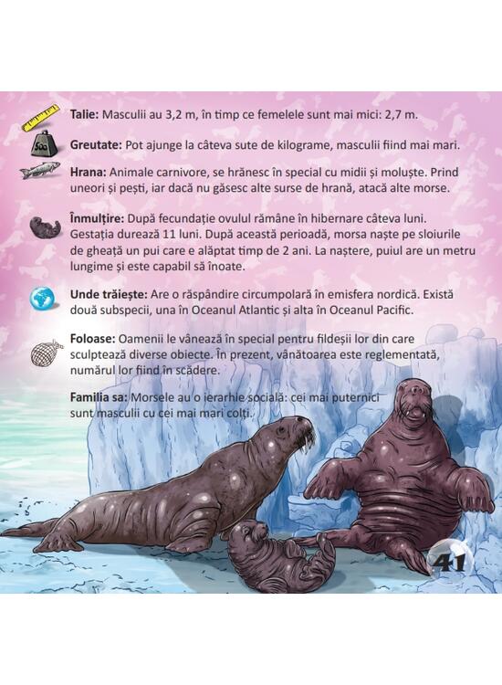 Copertă produs Prima mea enciclopedie. Animale marine - gallery big 6