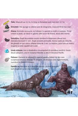 Copertă produs Prima mea enciclopedie. Animale marine
