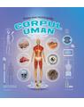 Copertă produs Prima mea enciclopedie. Corpul uman - thumb 1