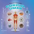 Copertă produs Prima mea enciclopedie. Corpul uman - gallery small 