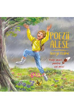 Copertă produs Poezii alese