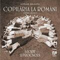 Copertă produs Copilăria la rom&acirc;ni (1850&ndash;2050). Istorie și prognoză - gallery small 
