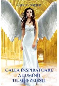 Copertă produs Calea inspiratoare a luminii dumnezeiești