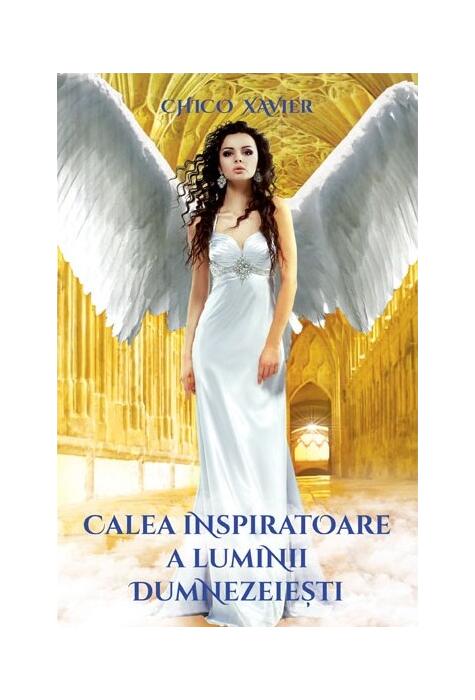 Copertă produs Calea inspiratoare a luminii dumnezeiești