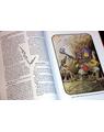 Copertă produs Enciclopedia zmeilor - thumb 3