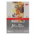 Copertă produs Bloc Ulei DACO A3 250g, 10 File - BD325 - gallery small 