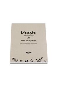 Copertă produs Bloc Caligrafie DACO A4, 200/250g, 50 file - BD412