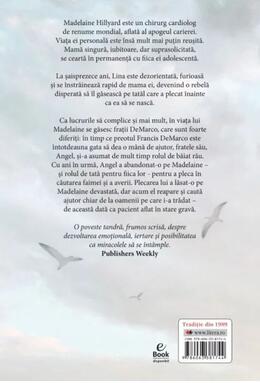 Copertă produs Din nou acasă