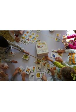 Copertă produs Jocuri cu imagini. Ne jucăm și învățăm I – Găsește perechea. Stări și emoții.