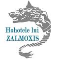 Copertă produs Hohotele lui Zalmoxis - gallery small 