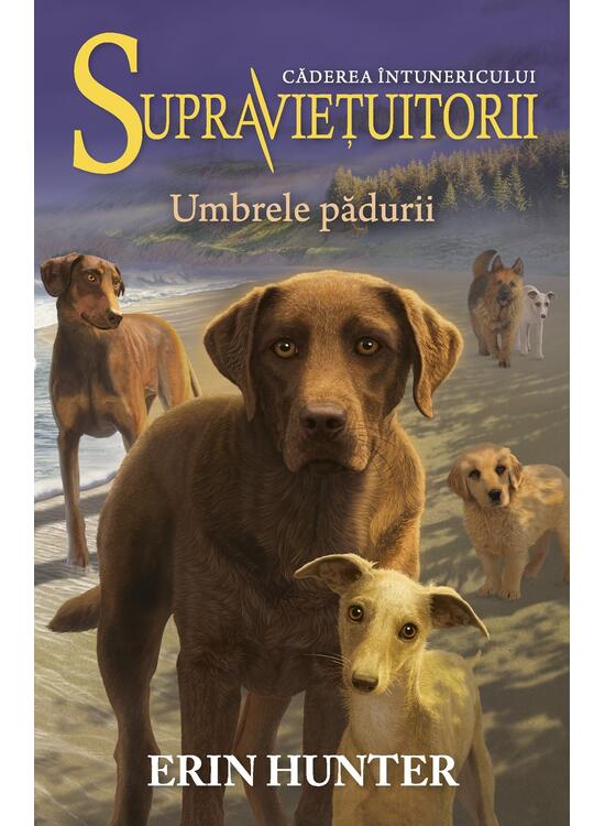 Copertă produs Umbrele pădurii. Supravieţuitorii (Vol. 9) - gallery big 1