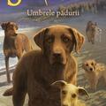 Copertă produs Umbrele pădurii. Supravieţuitorii (Vol. 9) - gallery small 