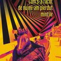 Copertă produs Cum s-a făcut de nu mi-am pierdut mințile - gallery small 