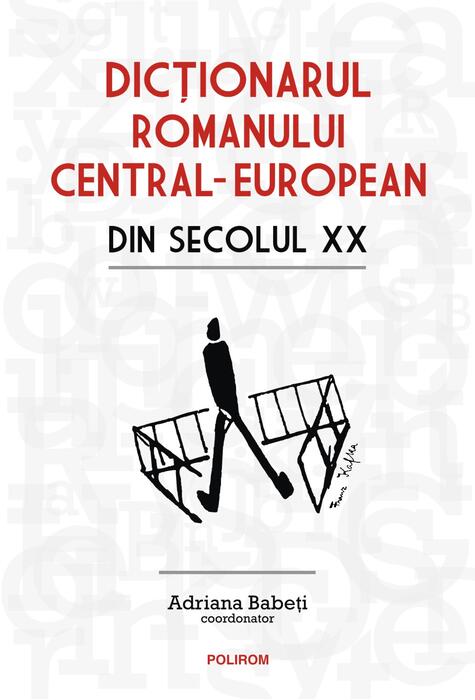 Copertă produs Dicționarul romanului central-european din secolul XX
