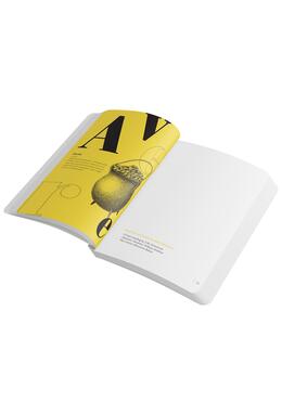 Copertă produs Agenda &bdquo;Dicționar de idei primite de-a gata&rdquo;. Recomandări de lectură de la librarul tău personal