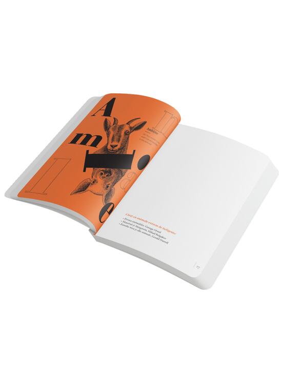 Copertă produs Agenda &bdquo;Dicționar de idei primite de-a gata&rdquo;. Recomandări de lectură de la librarul tău personal - gallery big 6