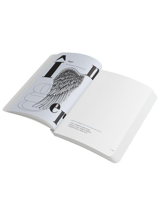 Copertă produs Agenda &bdquo;Dicționar de idei primite de-a gata&rdquo;. Recomandări de lectură de la librarul tău personal - gallery big 7