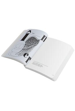 Copertă produs Agenda &bdquo;Dicționar de idei primite de-a gata&rdquo;. Recomandări de lectură de la librarul tău personal