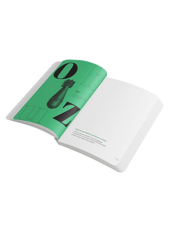 Copertă produs Agenda &bdquo;Dicționar de idei primite de-a gata&rdquo;. Recomandări de lectură de la librarul tău personal - gallery big 8