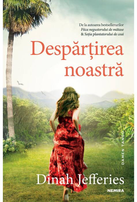 Copertă produs Despărțirea noastră