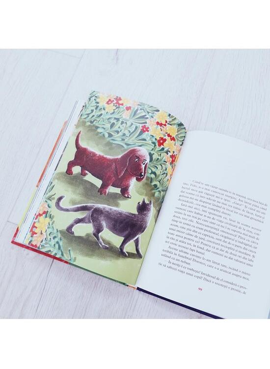 Copertă produs Căței bogați, căței săraci - gallery big 6