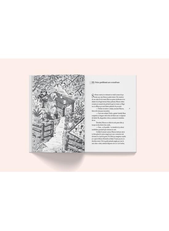 Copertă produs Călătoria fantastică a Baronului Van Piskel până la capătul lumii și înapoi - gallery big 3