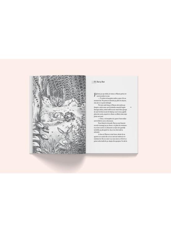 Copertă produs Călătoria fantastică a Baronului Van Piskel până la capătul lumii și înapoi - gallery big 4