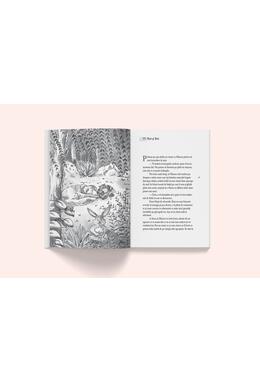 Copertă produs Călătoria fantastică a Baronului Van Piskel până la capătul lumii și înapoi